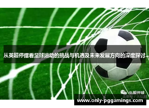 从英超停摆看足球运动的挑战与机遇及未来发展方向的深度探讨